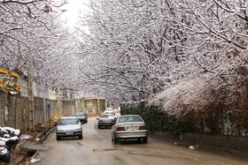 بارش نخستین برف پاییزی در یاسوج