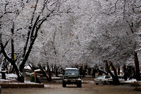 بارش نخستین برف پاییزی در یاسوج