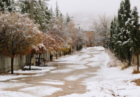 بارش نخستین برف پاییزی در یاسوج