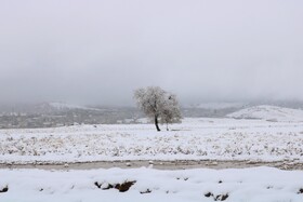 بارش نخستین برف پاییزی در یاسوج