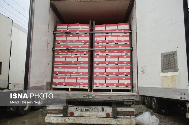 ترافیک مرزی و زیان صادرکنندگان در آستارا/ پیگیریهای دیپلماتیک ادامه دارد