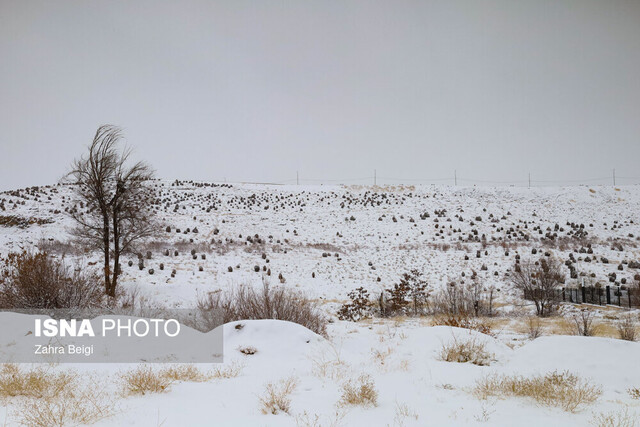 بارش برف مرهمی بر زخم‌های بی‌شمار خشکسالی در بام ایران نیست!