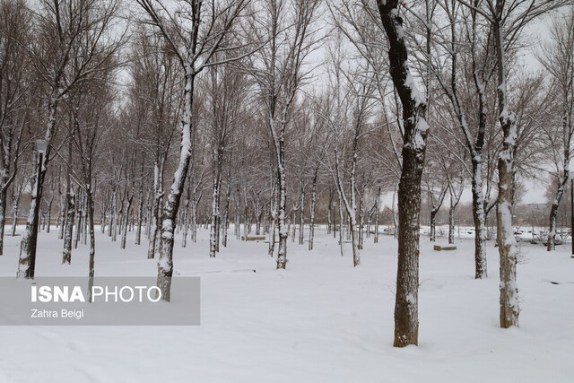 بارش برف مرهمی بر زخم‌های بی‌شمار خشکسالی در بام ایران نیست!