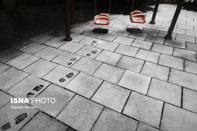 عکس «منتخب هفته»