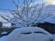 تصاویر زیبای برف در شمال استان کرمان