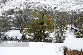 برودت هوا مدارس برخی شهرها و روستاهای سمنان‌ را غیرحضوری کرد