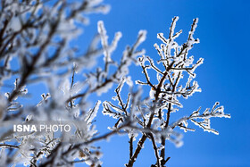 پیش‌بینی یخبندان فراگیر در البرز/دما به منفی ۱۳ درجه رسید