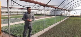 تولید سالانه ۳ میلیون بوته گل‌ و  ۱۰۰ هزار اصله درختچه در شهرداری اردبیل