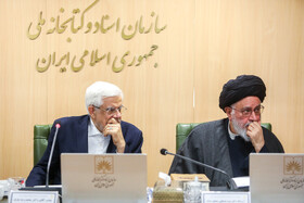 محمدرضا عارف، معاون اول رییس جمهور و آیت الله محقق داماد، عضو هیات امنای سازمان اسناد و کتابخانه ملی در جلسه این سازمان