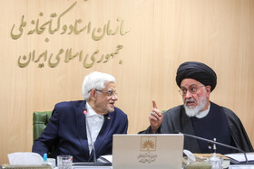 محمدرضا عارف، معاون اول رییس جمهور و آیت الله محقق داماد، عضو هیات امنای سازمان اسناد و کتابخانه ملی در جلسه این سازمان