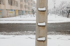 بارش شدید برف - مشهد