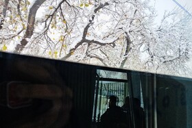 بارش شدید برف - مشهد