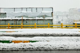 بارش شدید برف - مشهد