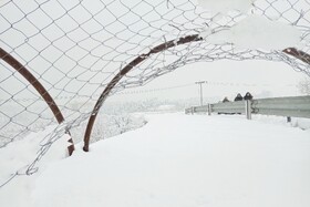 بارش شدید برف - مشهد