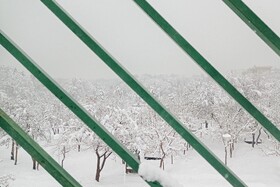 بارش شدید برف - مشهد
