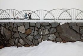 بارش شدید برف - مشهد