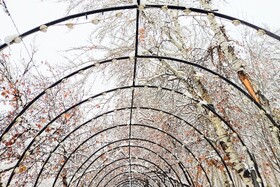 بارش شدید برف - مشهد