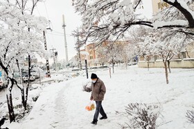 بارش شدید برف - مشهد