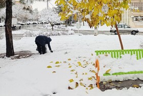 بارش شدید برف - مشهد
