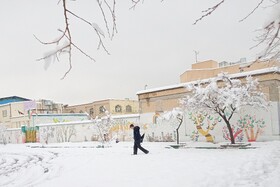 بارش شدید برف - مشهد