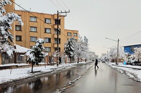 بارش شدید برف - مشهد