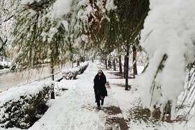 بارش شدید برف - مشهد