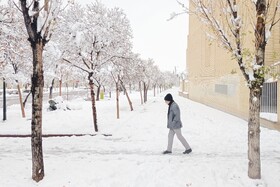 بارش شدید برف - مشهد
