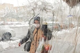 بارش شدید برف - مشهد