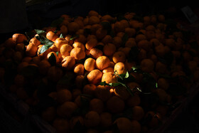 بازار شب یلدا ــ رشت