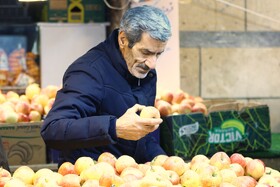 بازار تره‌بار همدان در تکاپوی یلدا