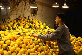 بازار تره‌بار همدان در تکاپوی یلدا