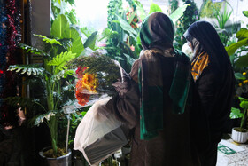 بازار شب یلدا - مشهد