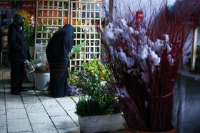 بازار شب یلدا - مشهد