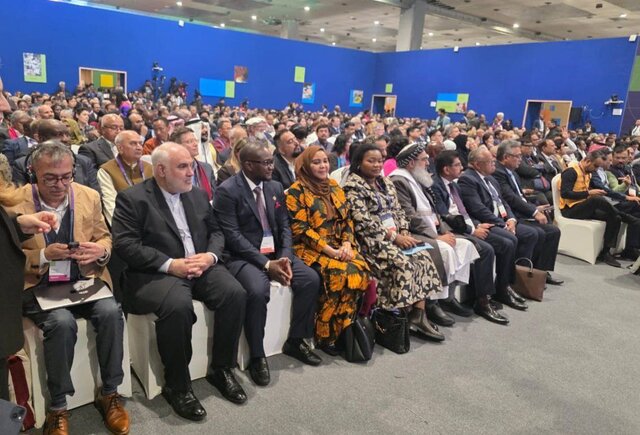 سفیر ایران در هند: یکی از کشورهای پیشرو در زمینه طب سنتی هستیم