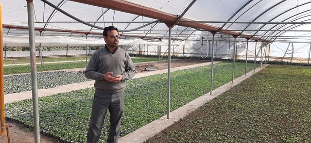 تولید سالانه ۳ میلیون بوته گل‌ و ۱۰۰ هزار اصله درختچه در شهرداری اردبیل