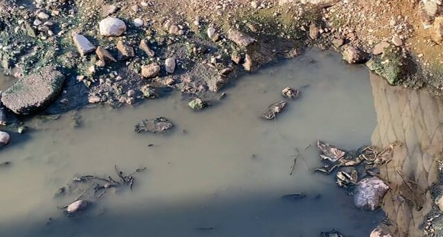 آیا فاضلاب شهر بندرعباس ساماندهی می شود؟