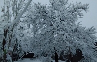 تصاویر زیبای برف در شمال استان کرمان