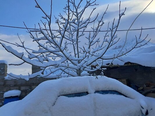 تصاویر زیبای برف در شمال استان کرمان