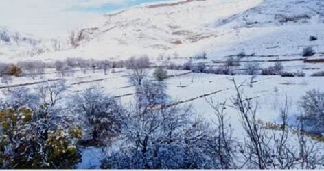 تصاویر زیبای برف در شمال استان کرمان