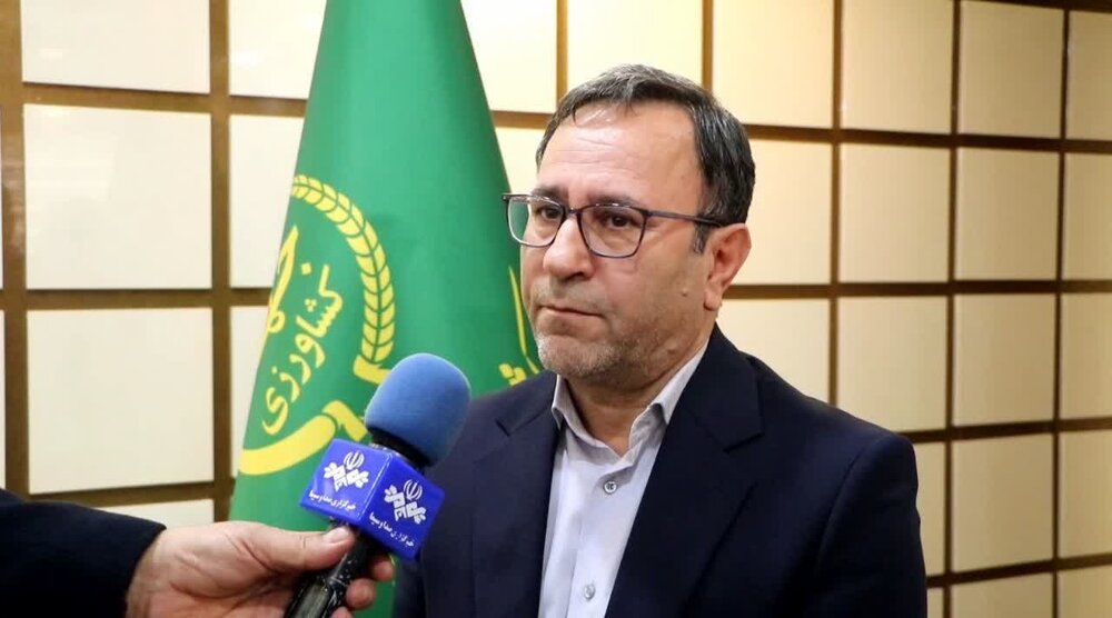 وفور مرغ، گوشت قرمز و برنج در بازار لرستان برای شب یلدا