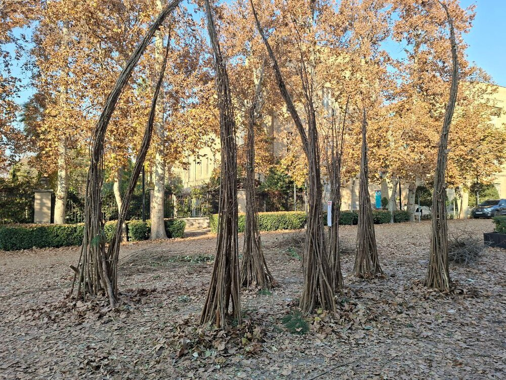 آخرین روز پاییز در وزارت خارجه&nbsp;