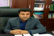 ۱۰ هزار هکتار از اراضی دهلران زیر کشت تابستانه قرار می‌گیرد