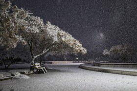 بارش برف - بجنورد
