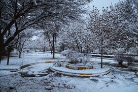 بارش برف - بجنورد

