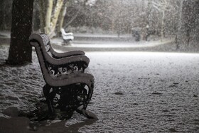 بارش برف - بجنورد
