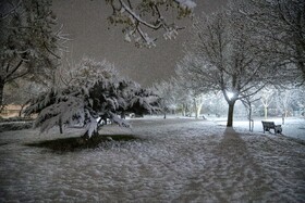 بارش برف - بجنورد
