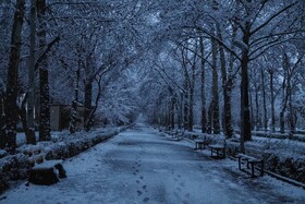 بارش برف - بجنورد
