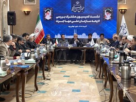 جوکار: اتباع خارجی بر اساس نیاز کشور باید اجازه ورود بگیرند