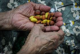 آسایشگاه معلولان و سالمندان رشت در شب یلدا