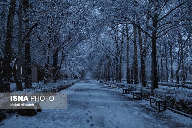 جمعه، قزوین برفی می‌شود